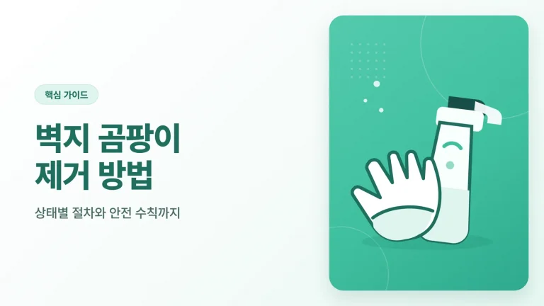 벽지 곰팡이 제거 방법
