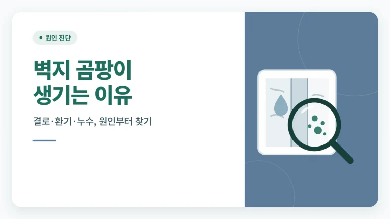 벽지 곰팡이 생기는 이유