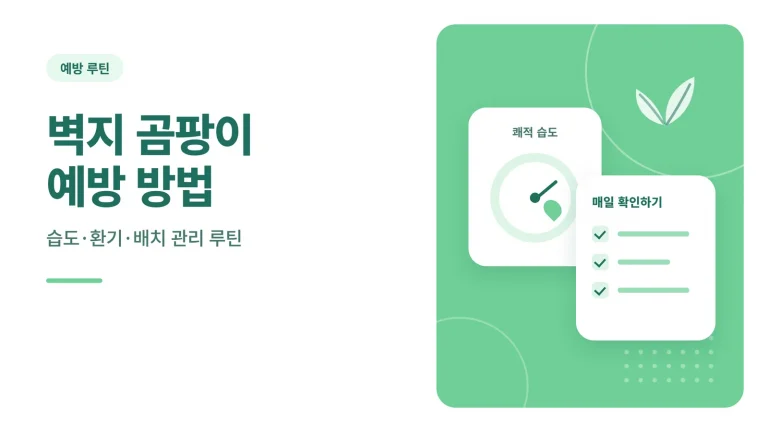 벽지 곰팡이 예방 방법