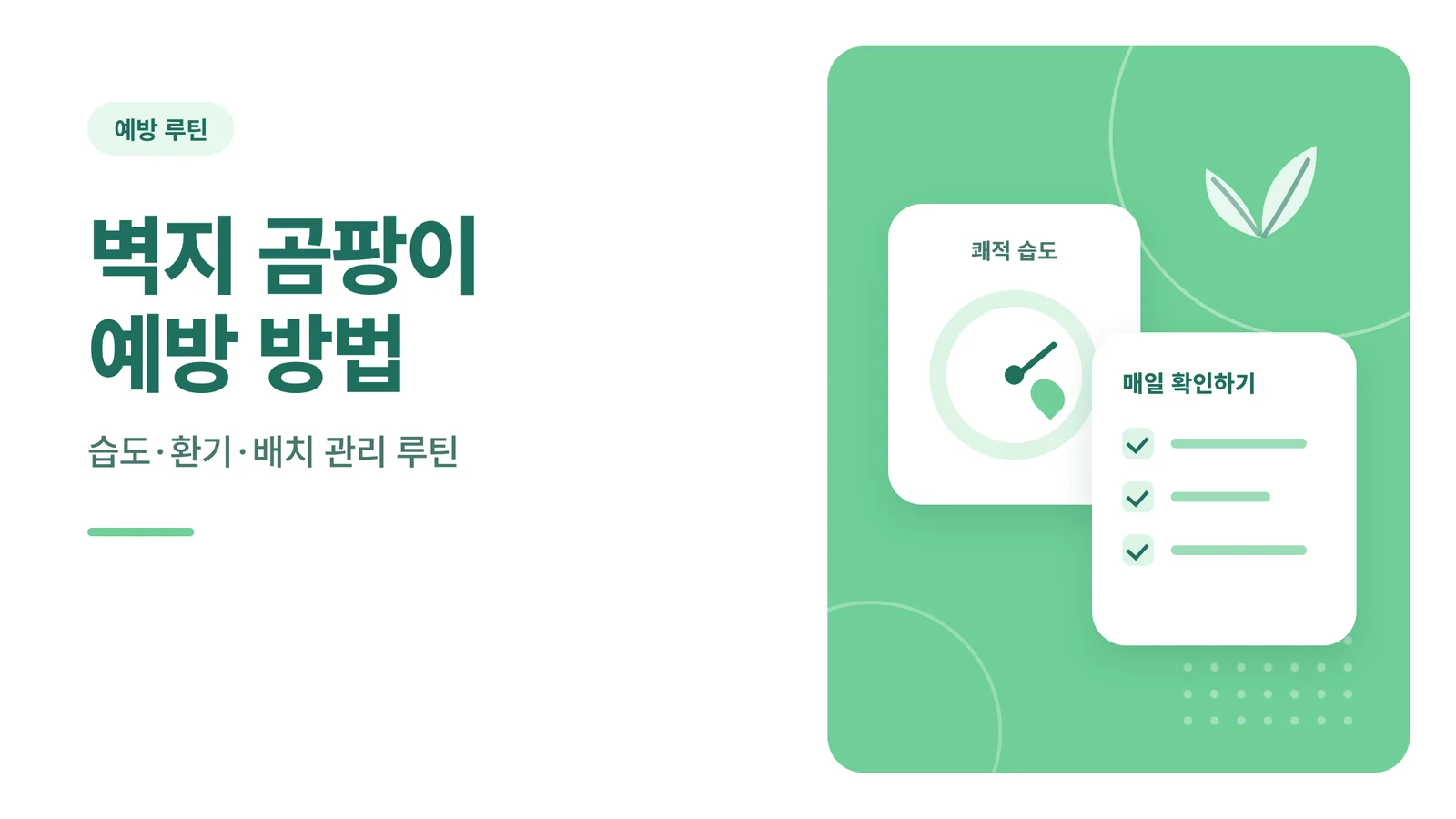 벽지 곰팡이 예방 방법