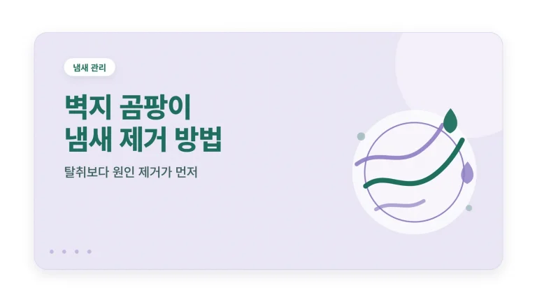 벽지 곰팡이 냄새 제거 방법