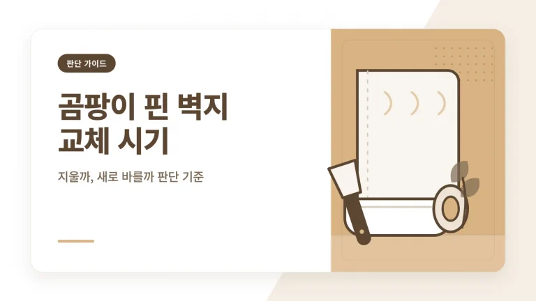 곰팡이 핀 벽지 교체 시기